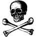 Skull and Bones (crossbones)